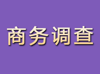 龙里商务调查